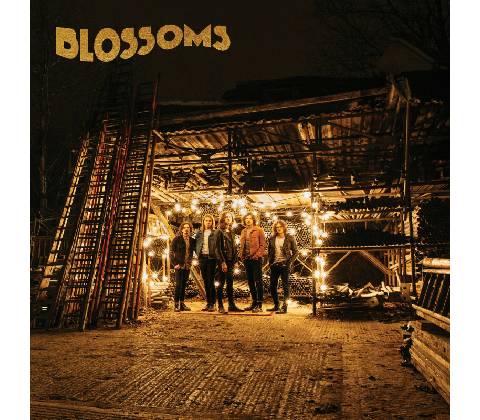 BLOSSOMS: BLOSSOMS CD