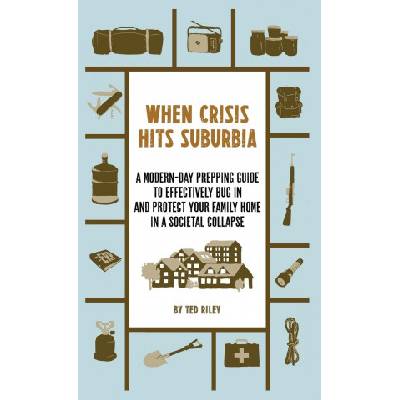 When Crisis Hits Suburbia