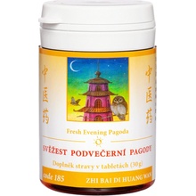 TCM Herbs Sviežosť podvečernej pagody 100 tabliet