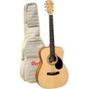 Cort AF510