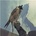 You're Nothing - Iceage CD