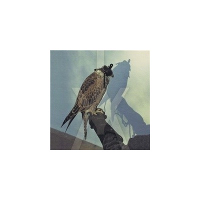 You're Nothing - Iceage CD
