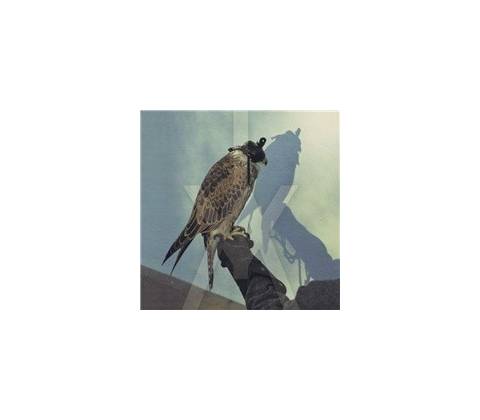 You're Nothing - Iceage CD