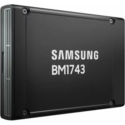 Samsung BM1743 61.44TB, MZWMO61THCLF-00AW7