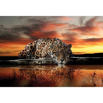 Postershop Fototapeta vliesováJaguár rozměry 254x368 cm