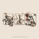 SIA: COLOUR THE SMALL ONE CD