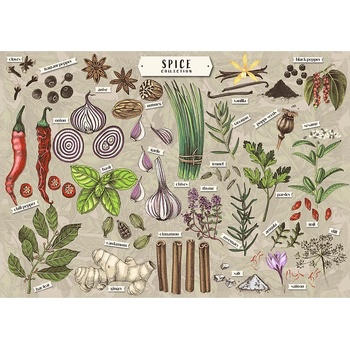 Trefl - Puzzle Premium Plus Finders Keepers: Spices - 500 piese