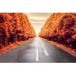 DIMEX ART Флизелинов фототапет есенен път 375 x 250 см