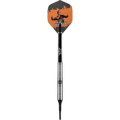 Bull's soft šípky Dirk van Duijvenbod 18g