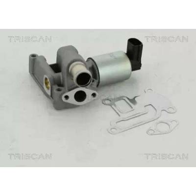 TRISCAN AGR ventil TRI 8813 24003