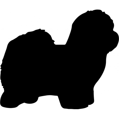 Vsepropejska Mag magnet na lednici ve tvaru psa Coton de Tulear
