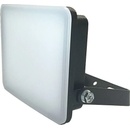 Nedes LF7021