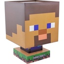 Minecraft Steve Icon Lamp