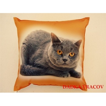 Dadka Fotovankúš Mačka 40x40