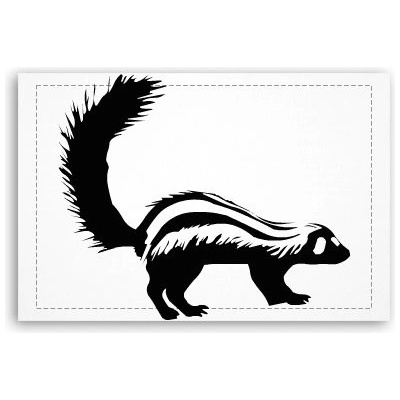 Fotoobraz 60x40 cm malý Skunk