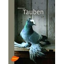 Wilhelm Bauer - Tauben