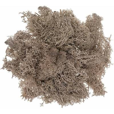 DP Craft Prírodný sobí mach 30 g - hnedý