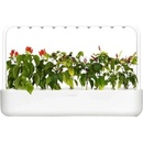 Click and Grow šikovný kvetináč na pestovanie byliniek zeleniny kvetov a stromov - Smart Garden 9 bielý