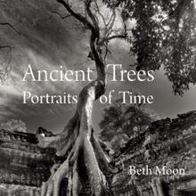 Ancient Trees - Moon Beth