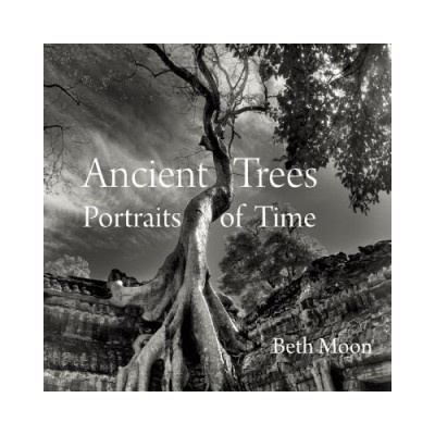 Ancient Trees - Moon Beth