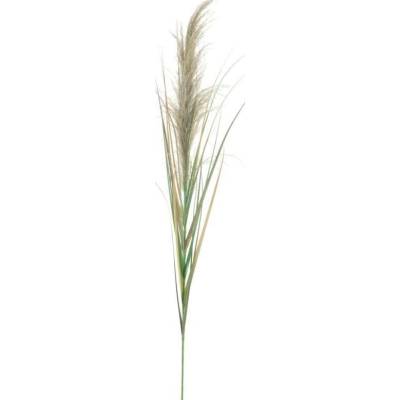 umělá rostlina, Rákosová větvička cibulová 180 cm
