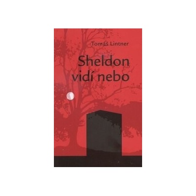 Sheldon vidí nebo