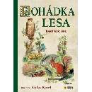 Pohádka lesa
