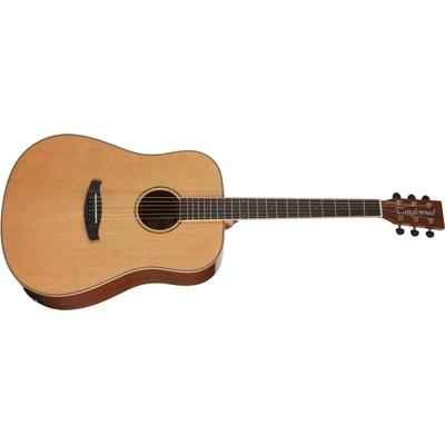 Tanglewood TRX5E