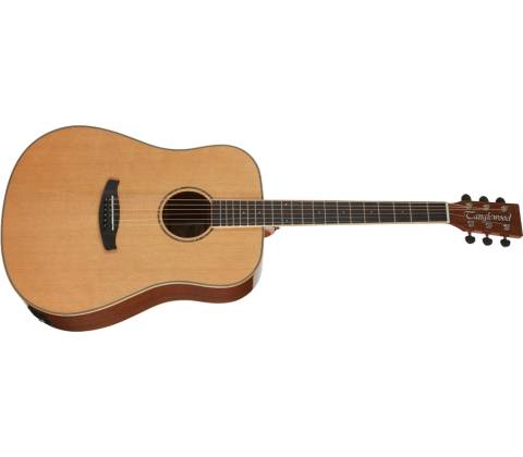 Tanglewood TRX5E