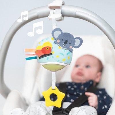 Taf Toys hudební Koala