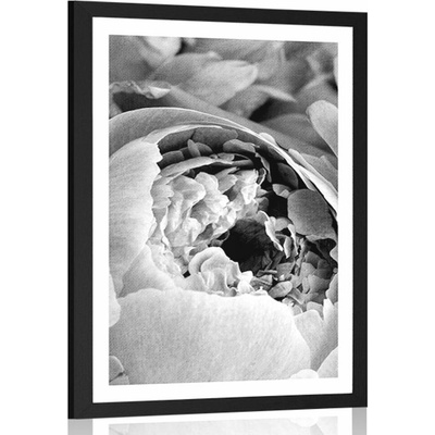 Plakát s paspartou černobílé lupínky květu - 40x60 no frame
