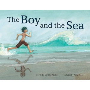 Boy and the Sea | Amy June Bates (ISBN: 9781419749407)