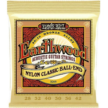 Ernie Ball 2069