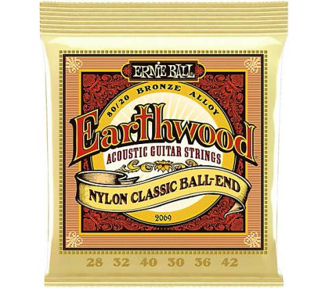 Ernie Ball 2069