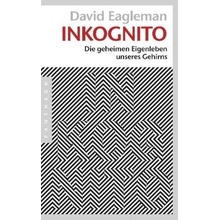 Inkognito Eagleman DavidPaperback