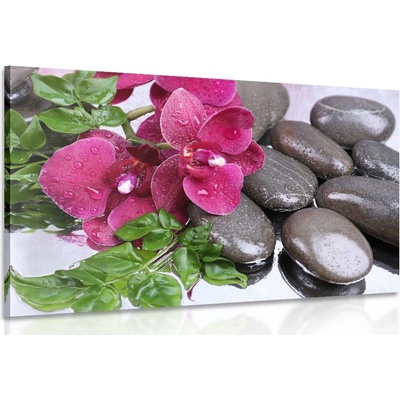 Obraz kvitnúca orchidea a wellness kamene