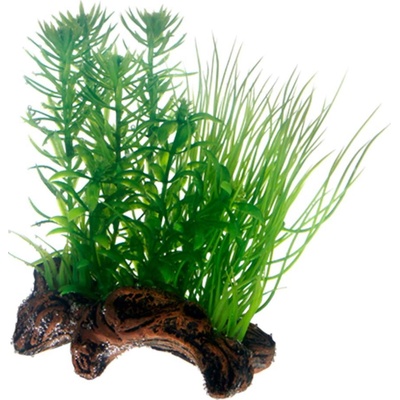 Hobby Flora root 2 17cm
