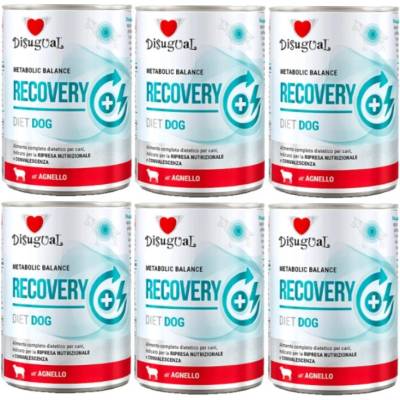 Disugual Veterinárne Recovery Jahňacie dospelý 6 x 400 g