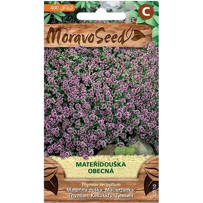 MORAVOSEED CZ Mateřídouška obecná