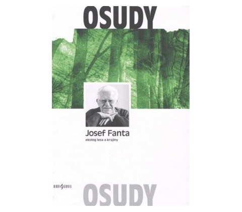 Kočka na cestách