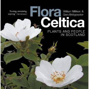 Flora Celtica | Sam Bridgewater (ISBN: 9781836920137)