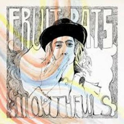 Fruit Bats - Mouthfuls CLR LP