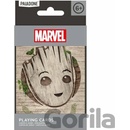 Groot v boxe
