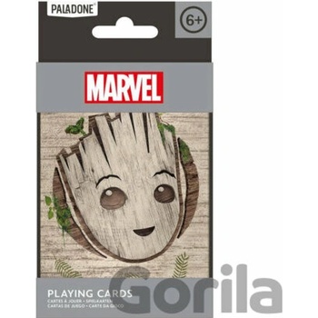 Groot v boxe
