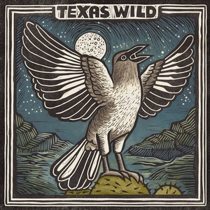 Various Artists - Texas Wild (Special Edition) (LP) (0617308058208)