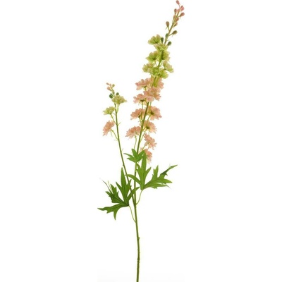 Stračka (Ostrožka) - Delphinium 'Finn' (spray) růžová V85 cm (N934870)