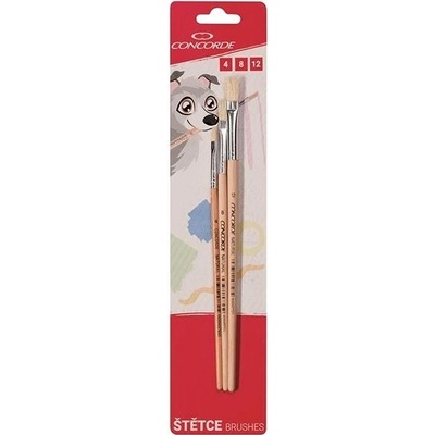 CONCORDE Natural ploché – balenie 3 ks