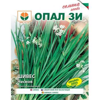 Image 1 of Opal Zi Шивес чеснов