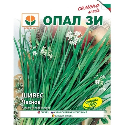 Opal Zi Шивес чеснов