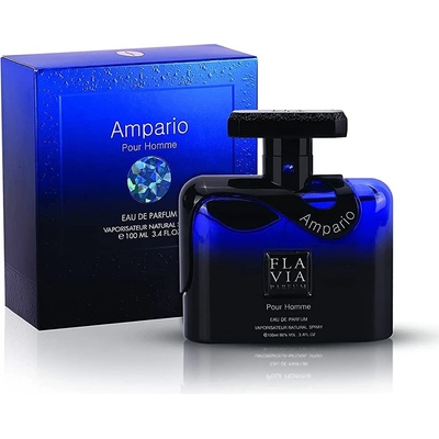 Flavia Ampario Pour Homme parfumovaná voda pánska 100 ml